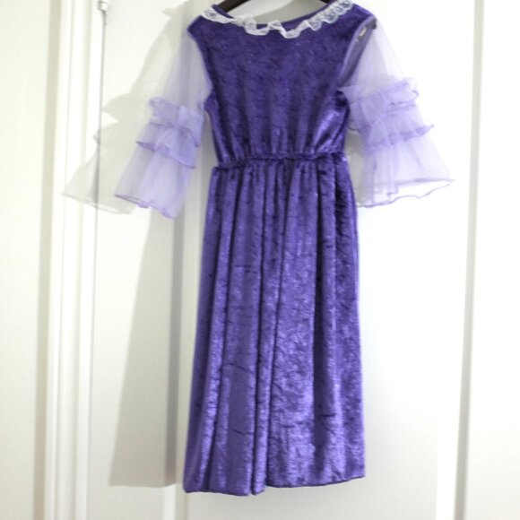 Teetot & co  Rapunzel Purple Costume Deluxe Mesh & Velvet Dress - Picture 2 of 9